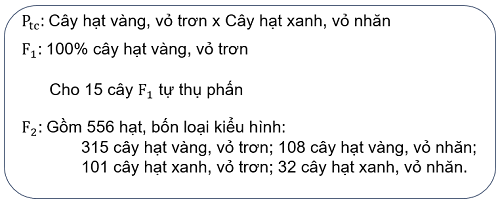 Thí nghiệm về quy luật phân li độc lập